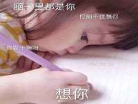 台儿庄区佳世恒数码产品经营部