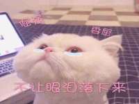 台儿庄区佳世恒数码产品经营部