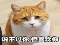 台儿庄区佳世恒数码产品经营部
