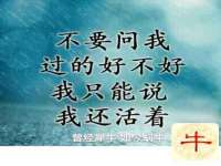 台儿庄区佳世恒数码产品经营部