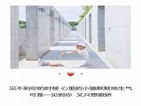 台儿庄区佳世恒数码产品经营部