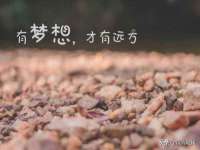 台儿庄区佳世恒数码产品经营部