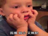台儿庄区佳世恒数码产品经营部