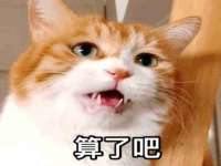台儿庄区佳世恒数码产品经营部
