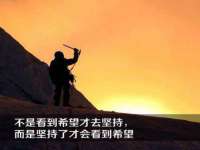台儿庄区佳世恒数码产品经营部