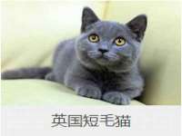 台儿庄区佳世恒数码产品经营部