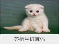 台儿庄区佳世恒数码产品经营部