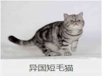 台儿庄区佳世恒数码产品经营部