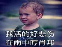 台儿庄区佳世恒数码产品经营部