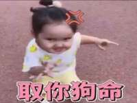 台儿庄区佳世恒数码产品经营部