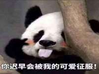 台儿庄区佳世恒数码产品经营部