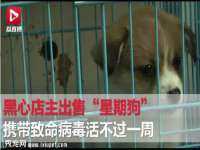 台儿庄区佳世恒数码产品经营部