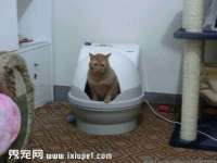 台儿庄区佳世恒数码产品经营部