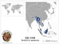 台儿庄区佳世恒数码产品经营部
