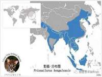 台儿庄区佳世恒数码产品经营部