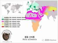 台儿庄区佳世恒数码产品经营部