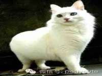 台儿庄区佳世恒数码产品经营部