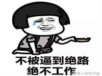 台儿庄区佳世恒数码产品经营部