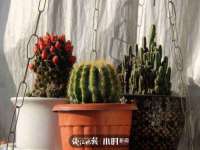 台儿庄区佳世恒数码产品经营部