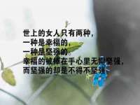 台儿庄区佳世恒数码产品经营部