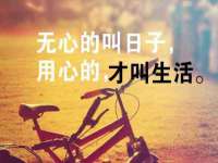 台儿庄区佳世恒数码产品经营部