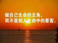 台儿庄区佳世恒数码产品经营部