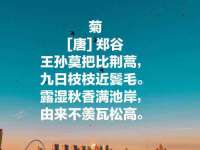 台儿庄区佳世恒数码产品经营部