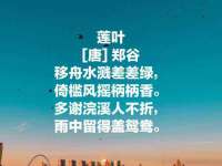 台儿庄区佳世恒数码产品经营部
