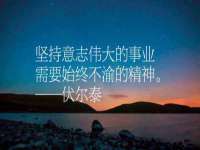 台儿庄区佳世恒数码产品经营部