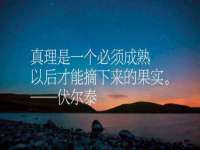 台儿庄区佳世恒数码产品经营部