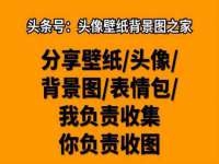 台儿庄区佳世恒数码产品经营部
