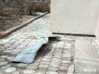 台儿庄区佳世恒数码产品经营部