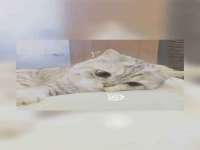台儿庄区佳世恒数码产品经营部