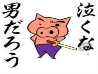 台儿庄区佳世恒数码产品经营部