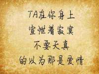台儿庄区佳世恒数码产品经营部