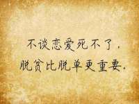 台儿庄区佳世恒数码产品经营部