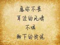台儿庄区佳世恒数码产品经营部