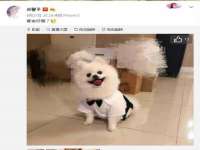 台儿庄区佳世恒数码产品经营部