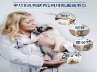 台儿庄区佳世恒数码产品经营部