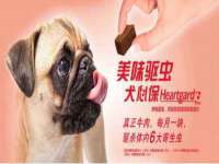 台儿庄区佳世恒数码产品经营部