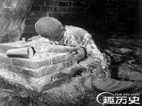 台儿庄区佳世恒数码产品经营部