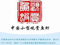 台儿庄区佳世恒数码产品经营部
