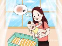 台儿庄区佳世恒数码产品经营部