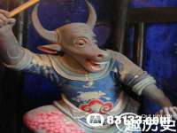 台儿庄区佳世恒数码产品经营部