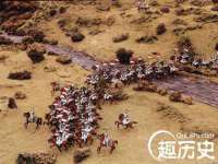 台儿庄区佳世恒数码产品经营部