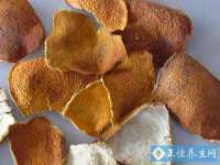 台儿庄区佳世恒数码产品经营部