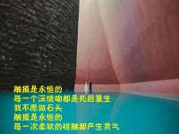 台儿庄区佳世恒数码产品经营部