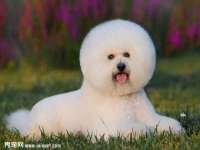 台儿庄区佳世恒数码产品经营部