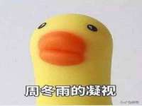 台儿庄区佳世恒数码产品经营部