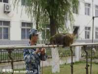 台儿庄区佳世恒数码产品经营部